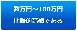 数万円～100万円 比較的高額である